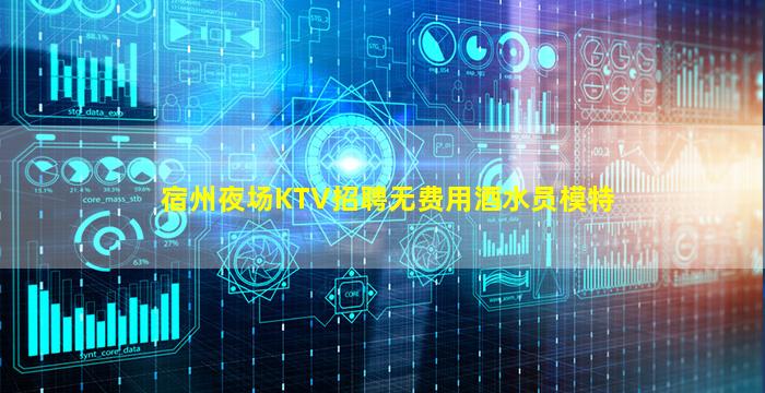 宿州夜场KTV招聘无费用酒水员模特